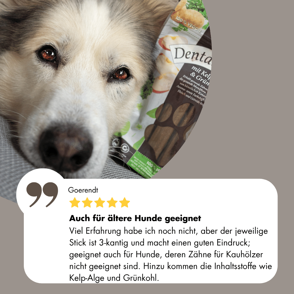 dental Snacks Zitat