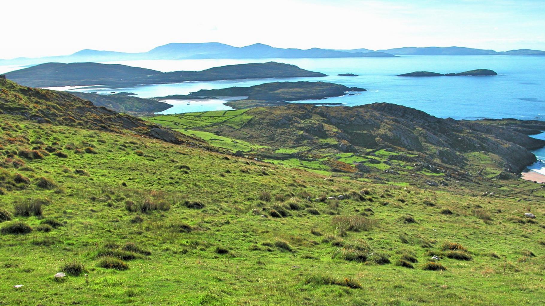Irish Pure Irland