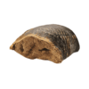 Frontales Bild eines Filled Hoof
