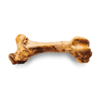 Giant Beef Bone - riesiger Oberschenkelknochen / Rind