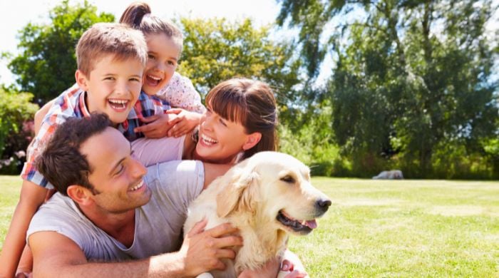 Familienhunde Welche Hunderassen sind familienfreundlich?