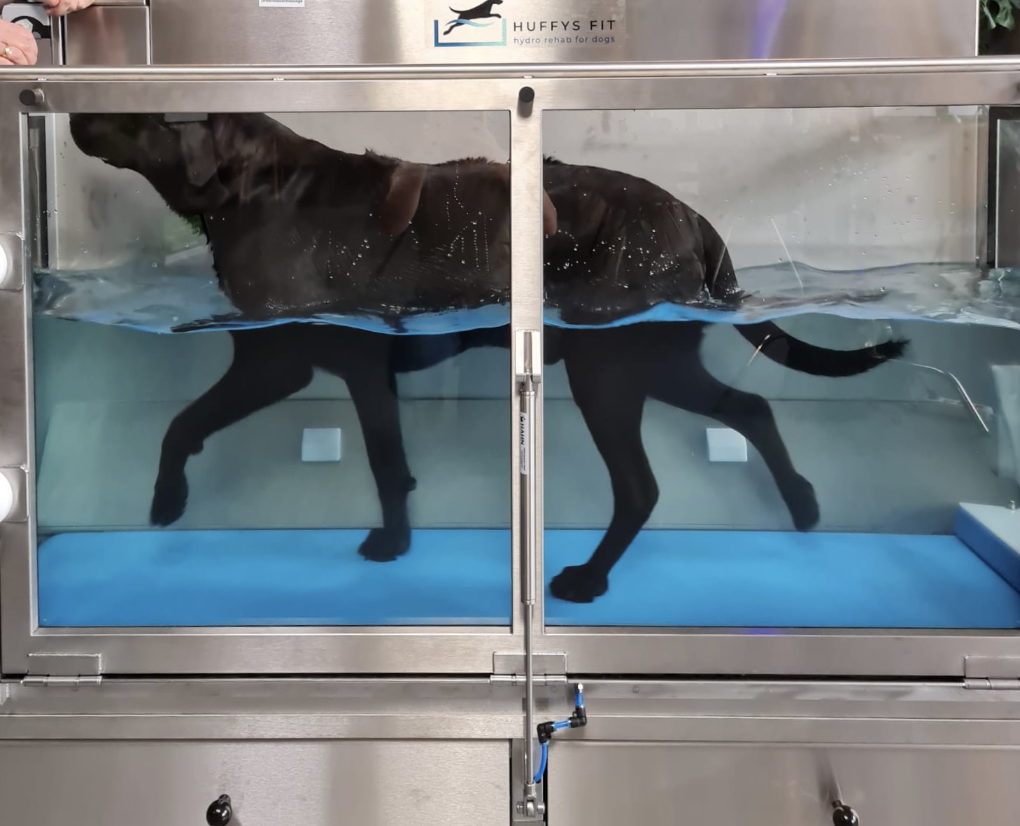 Huffys FIT: Training auf dem Unterwasserlaufband mit Irish Pure