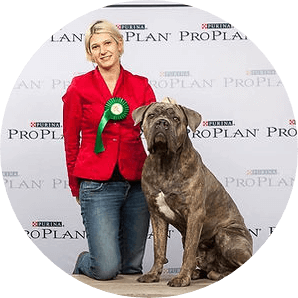 irish-pure-the-vet