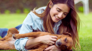 Funktionale Snacks für das Hundewohl