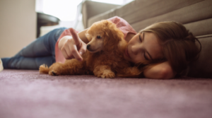 Hunde für Allergiker: Tipps für allergikerfreundliche Hunderassen