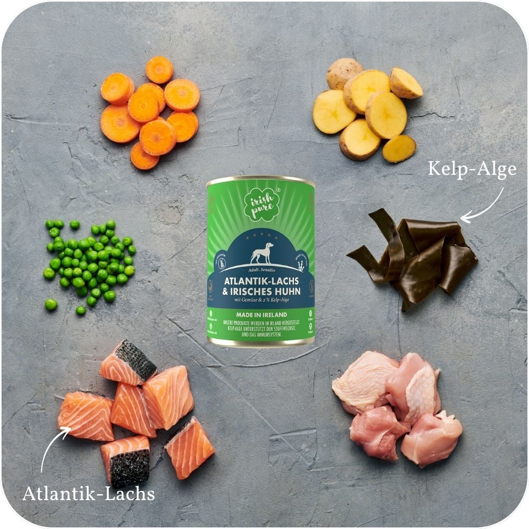 In der Mitte ist eine Lachs NF Dose. Drum herum sieht man Zutaten als Bilder (Kartoffel, Möhre, Erbsen, Atlantik-Lachs, Hühnerfleisch, Algen)