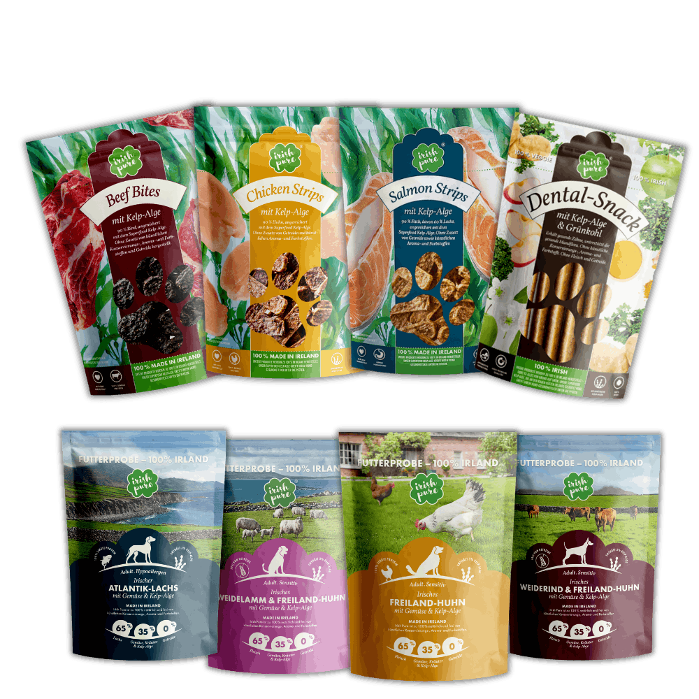 Snack & Test Bundle