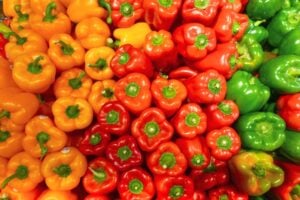 Große Auswahl an frischen, bunten Paprika: Gelb, Orange, Rot und Grün.