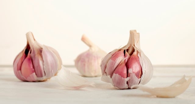 Knoblauch für Hunde - Heilmittel oder Gift?