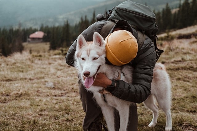 Wanderer umarmt einen Siberian Husky mit blauen Augen auf einer Bergwiese.