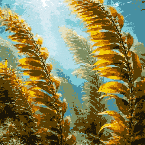 Glaenzendes Fell dank Kelp-Alge