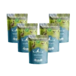 Futterprobenpaket Junior