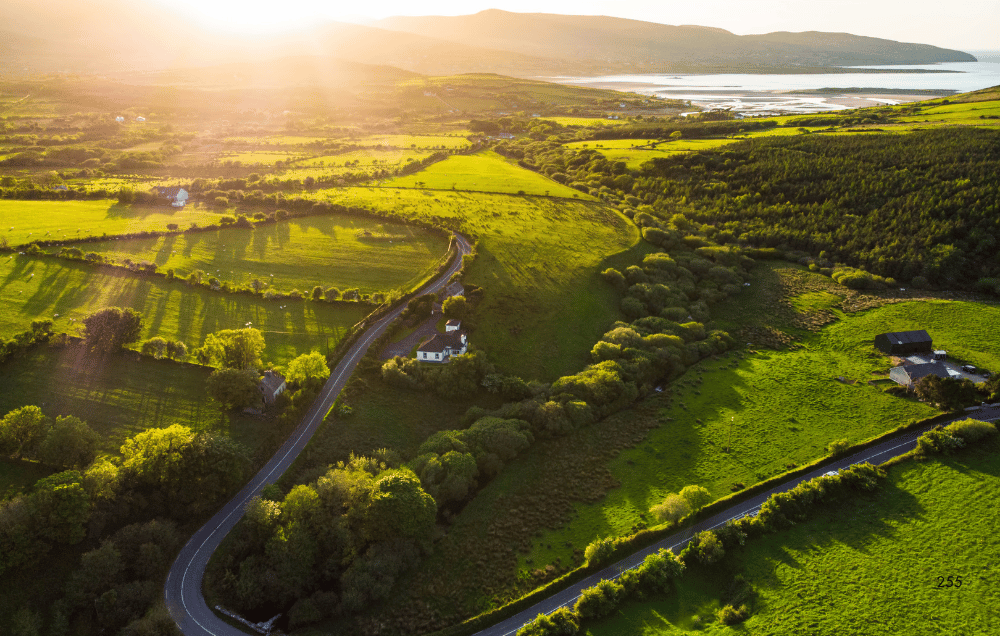 Irish Pure