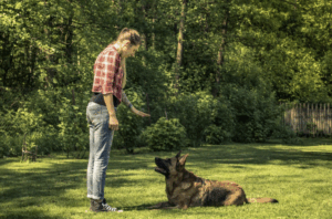 Frau gibt Deutschem Schäferhund das Kommando Platz im Garten