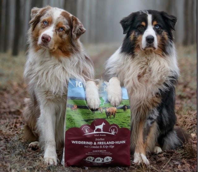 Hunde mit Irish Pure Futter