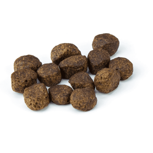 Hypoallergen Hundefutter Lachs6